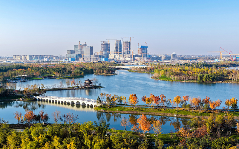 初冬雄安：秀美景色入畫來